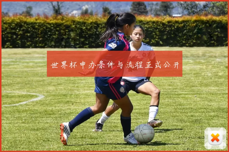 世界杯申办条件与流程正式公开