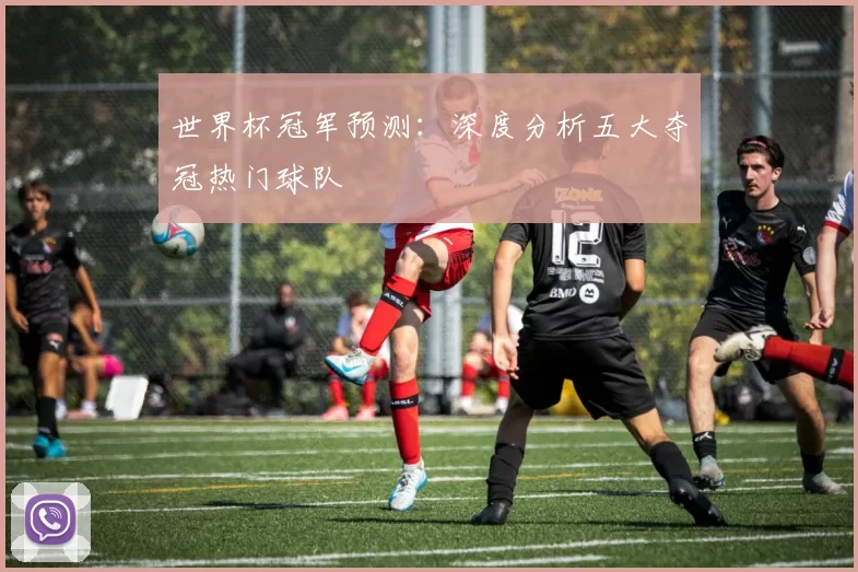 世界杯冠军预测:深度分析五大夺冠热门球队