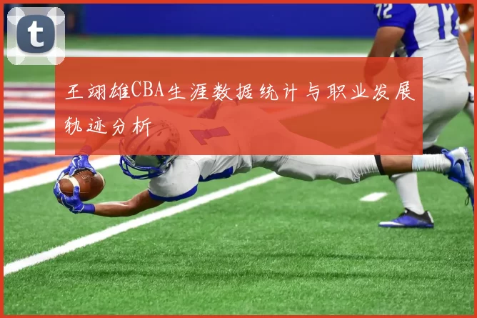 王翊雄CBA生涯数据统计与职业发展轨迹分析