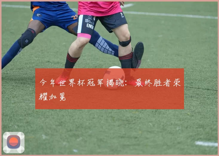 今年世界杯冠军揭晓:最终胜者荣耀加冕