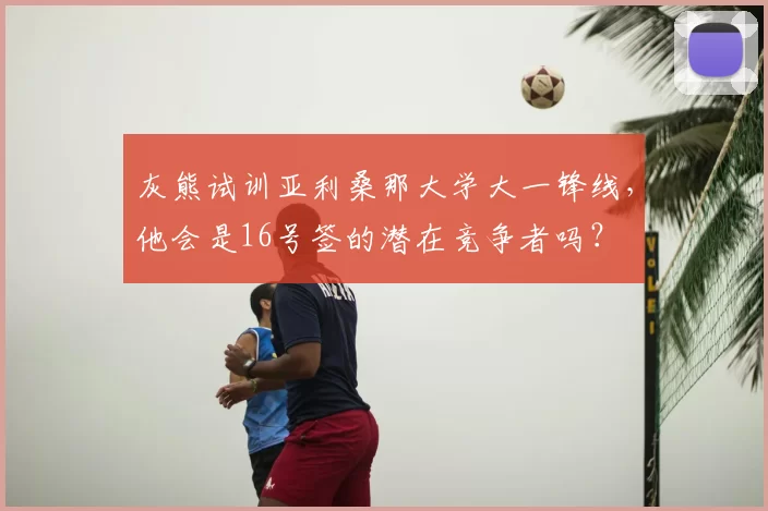 灰熊试训亚利桑那大学大一锋线,他会是16号签的潜在竞争者吗?