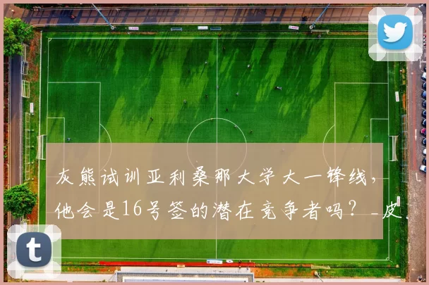 灰熊试训亚利桑那大学大一锋线，他会是16号签的潜在竞争者吗？_皮特_球员_行情