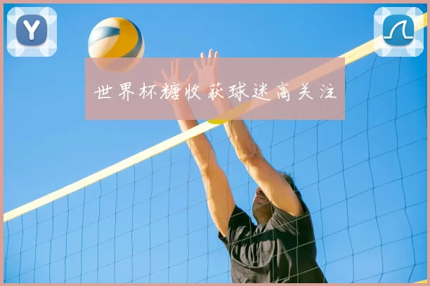 世界杯糖收获球迷高关注
