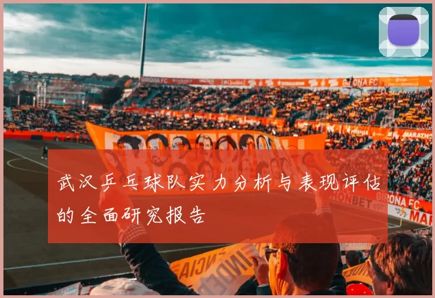 武汉乒乓球队实力分析与表现评估的全面研究报告
