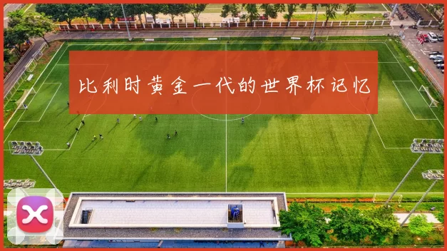 比利时黄金一代的世界杯记忆