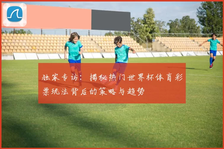 独家专访：揭秘热门世界杯体育彩票玩法背后的策略与趋势