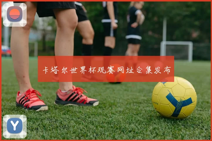 卡塔尔世界杯观赛网址合集发布