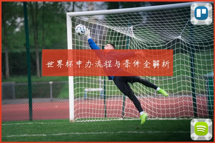 世界杯申办流程与条件全解析